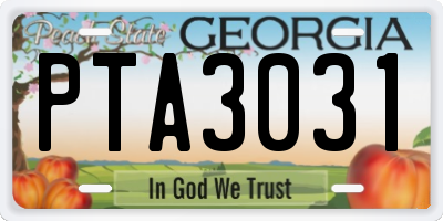 GA license plate PTA3031