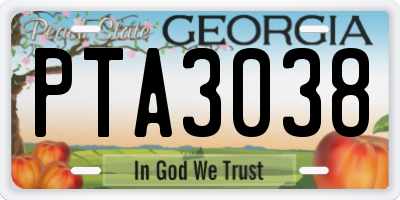GA license plate PTA3038