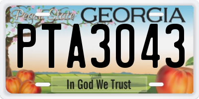 GA license plate PTA3043