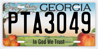 GA license plate PTA3049