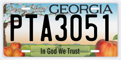 GA license plate PTA3051