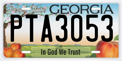 GA license plate PTA3053