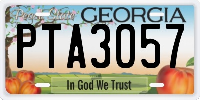 GA license plate PTA3057