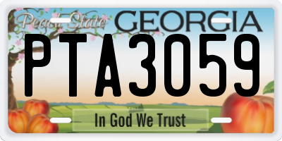 GA license plate PTA3059