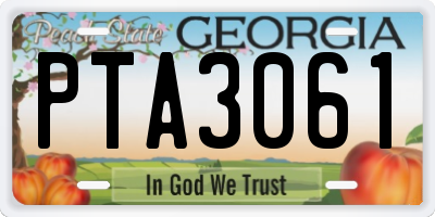 GA license plate PTA3061