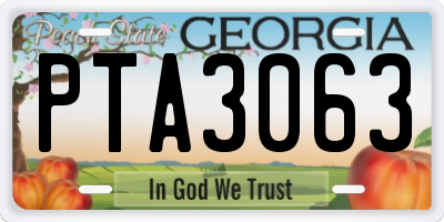 GA license plate PTA3063