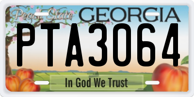 GA license plate PTA3064