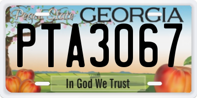 GA license plate PTA3067