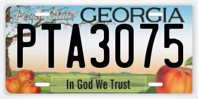 GA license plate PTA3075