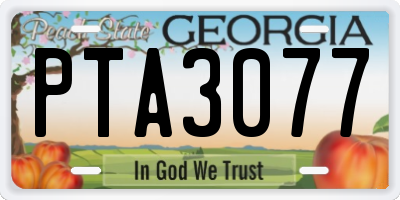 GA license plate PTA3077