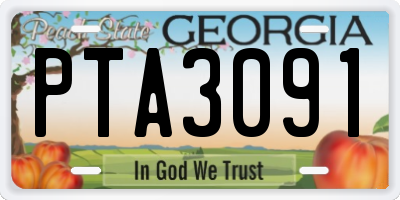 GA license plate PTA3091