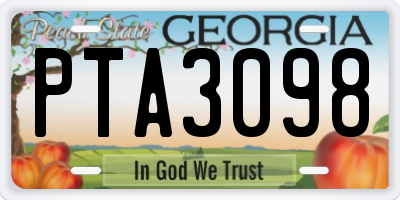 GA license plate PTA3098
