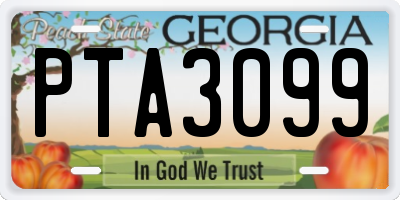 GA license plate PTA3099