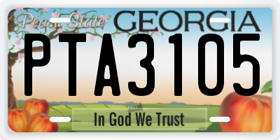 GA license plate PTA3105