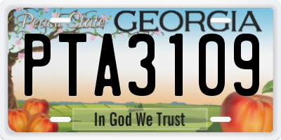 GA license plate PTA3109