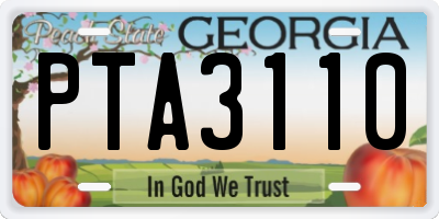 GA license plate PTA3110