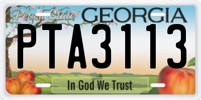 GA license plate PTA3113