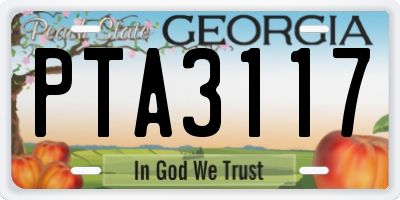 GA license plate PTA3117