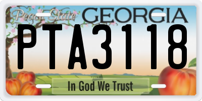 GA license plate PTA3118