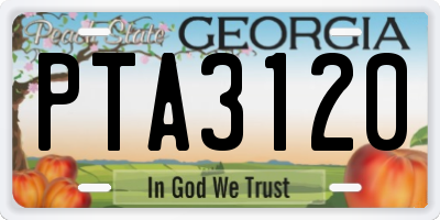 GA license plate PTA3120