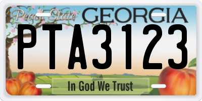 GA license plate PTA3123