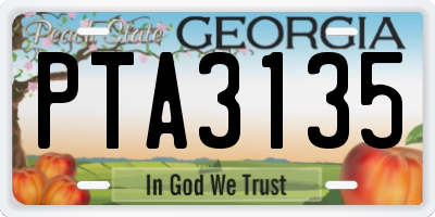GA license plate PTA3135