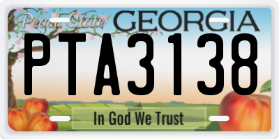 GA license plate PTA3138
