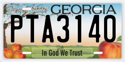 GA license plate PTA3140