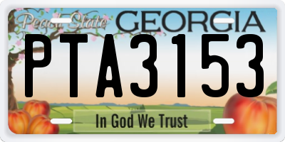 GA license plate PTA3153