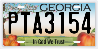 GA license plate PTA3154