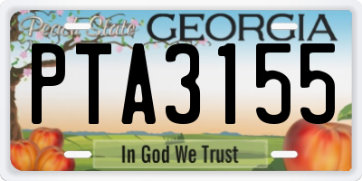 GA license plate PTA3155