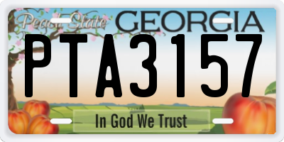 GA license plate PTA3157