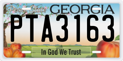 GA license plate PTA3163