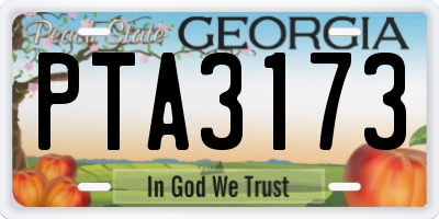GA license plate PTA3173