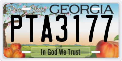 GA license plate PTA3177