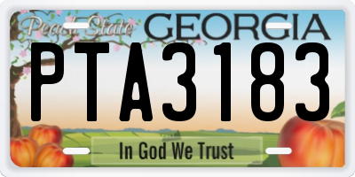 GA license plate PTA3183