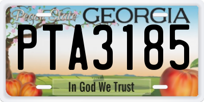 GA license plate PTA3185