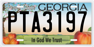 GA license plate PTA3197