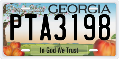 GA license plate PTA3198