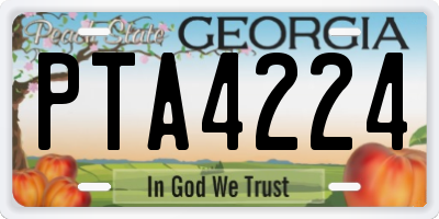 GA license plate PTA4224
