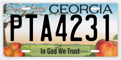 GA license plate PTA4231