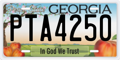 GA license plate PTA4250