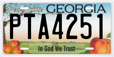GA license plate PTA4251
