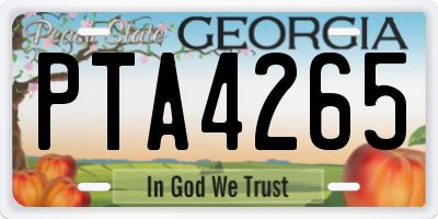 GA license plate PTA4265