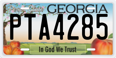 GA license plate PTA4285