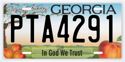 GA license plate PTA4291
