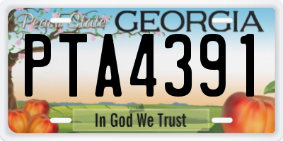 GA license plate PTA4391