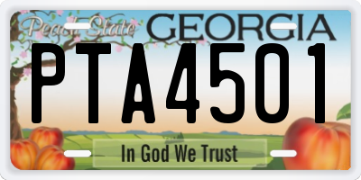 GA license plate PTA4501