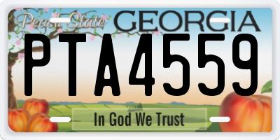 GA license plate PTA4559