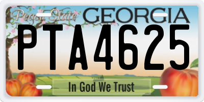 GA license plate PTA4625
